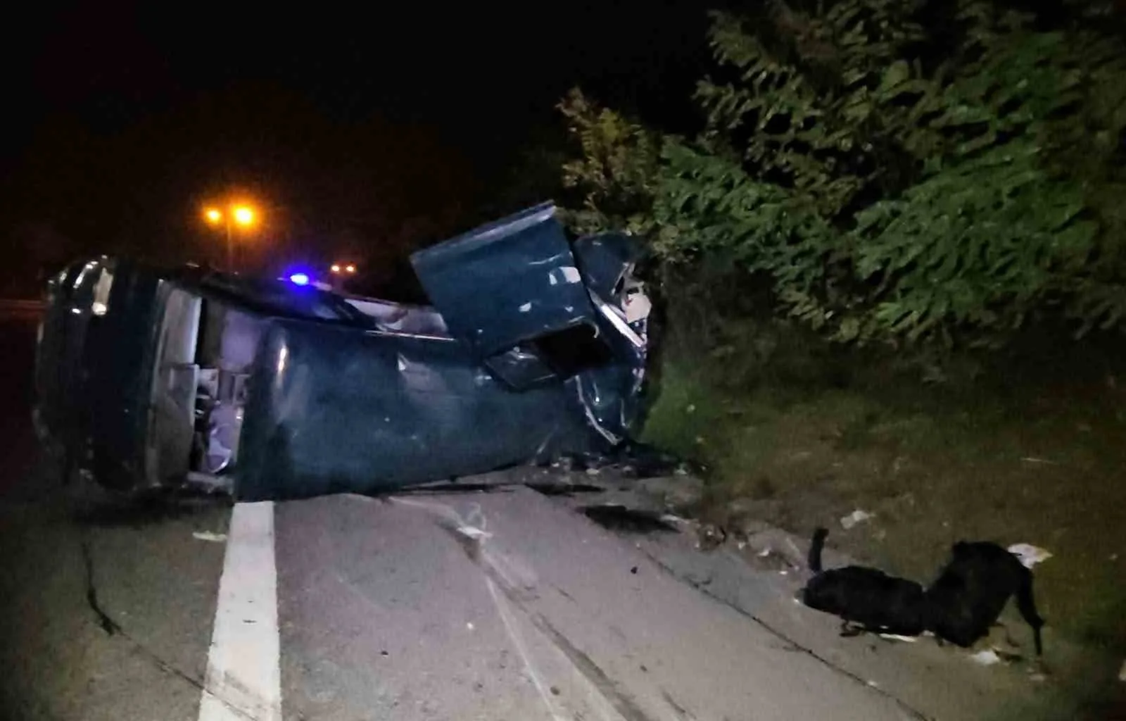 ANADOLU OTOYOLU SAKARYA GEÇİŞİNDE TAKLA ATAN PANELVANDAN HAFİF YARALI OLARAK ÇIKAN SÜRÜCÜ, ARACINDAKİ HASARA BAKMAK İSTEDİĞİ SIRADA AYNI YÖNDE İLERLEYEN TIRIN ÇARPMASI SONUCU HAYATINI KAYBETTİ.