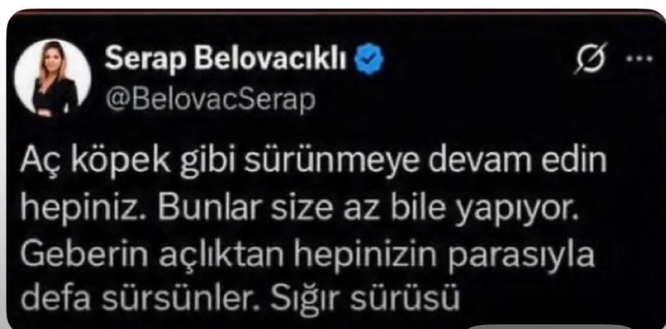 BAKIRKÖY CUMHURİYET BAŞSAVCILIĞI'NCA, GAZETECİ SERAP BELOVACIKLI HAKKINDA RESEN SORUŞTURMA BAŞLATILDI