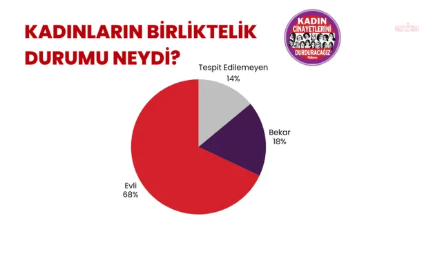 Platform: Eylülde 28 kadın cinayeti işlendi — fotoğraf 7