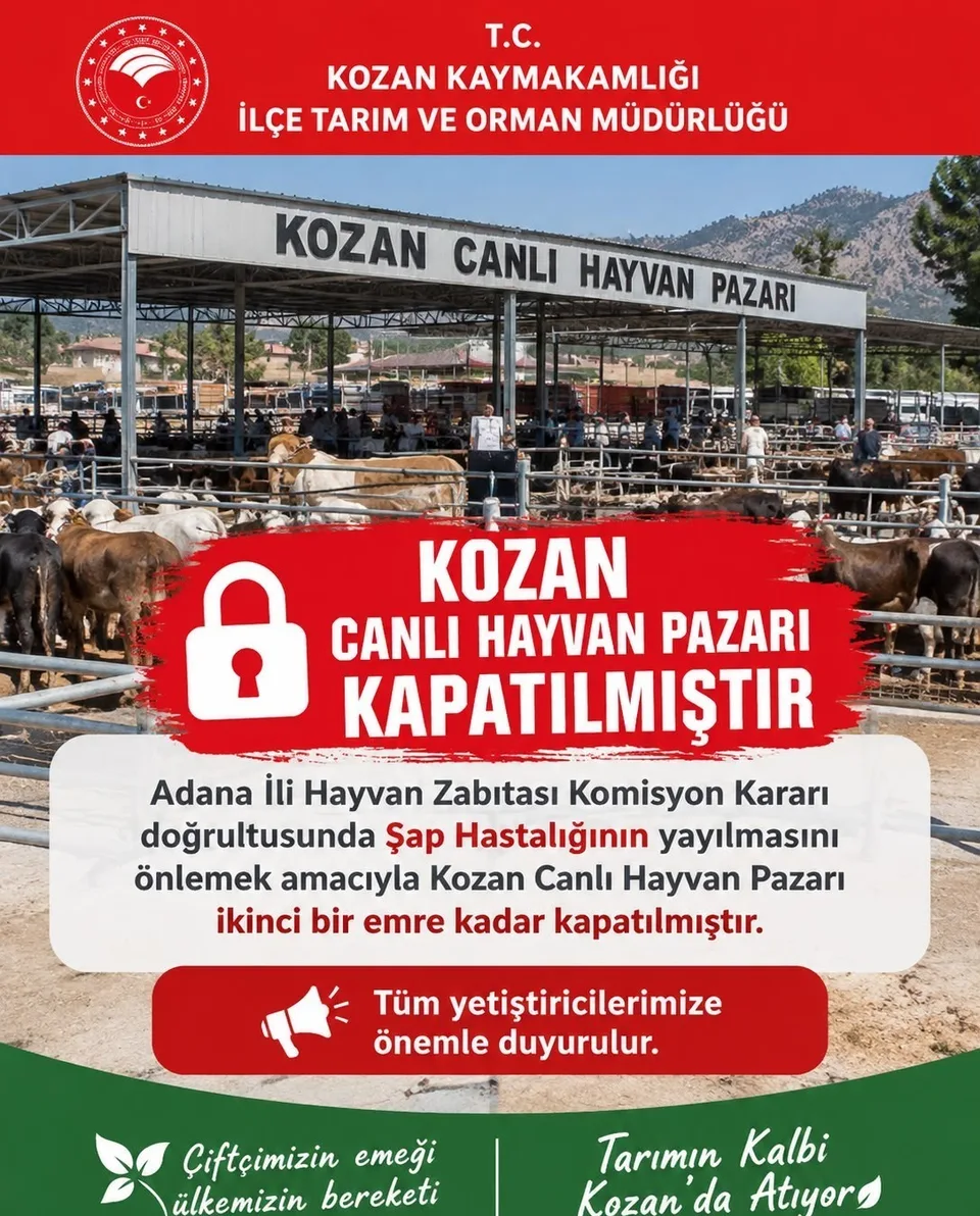 ADANA’NIN KOZAN İLÇESİNDE BULUNAN CANLI HAYVAN PAZARI, ŞAP HASTALIĞININ YAYILMASINI ÖNLEMEK VE HAYVAN SAĞLIĞINI KORUMAK AMACIYLA İKİNCİ BİR EMRE KADAR KAPATILDI.