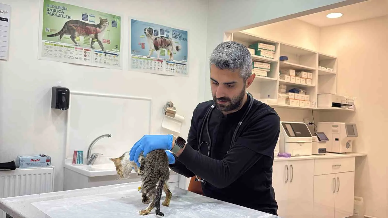 TOKAT’TA BİNLERCE KİŞİNİN MİDE BULANTISI, KUSMA VE KARIN AĞRISI ŞİKÂYETLERİYLE HASTANELERE BAŞVURMASININ ARDINDAN, KEDİ VE KÖPEKLERDE DE BENZER BELİRTİLER GÖRÜLDÜĞÜ BİLDİRİLDİ. VETERİNER HEKİMLER HAYVAN SAHİPLERİNE UYARIDA BULUNURKEN, UZMANLAR BENZER BELİRTİLERİN TEK BAŞINA NOROVİRÜS TANISI ANLAMINA GELMEDİĞİNE DİKKAT ÇEKTİ.