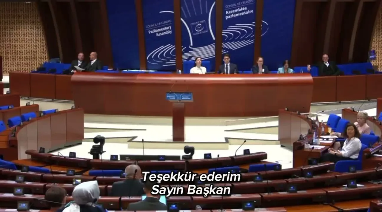Gökçe Gökçen, Batı Trakya'da hak ihlallerini gündeme getirdi