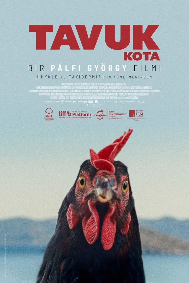 Tavuk filminin afişi