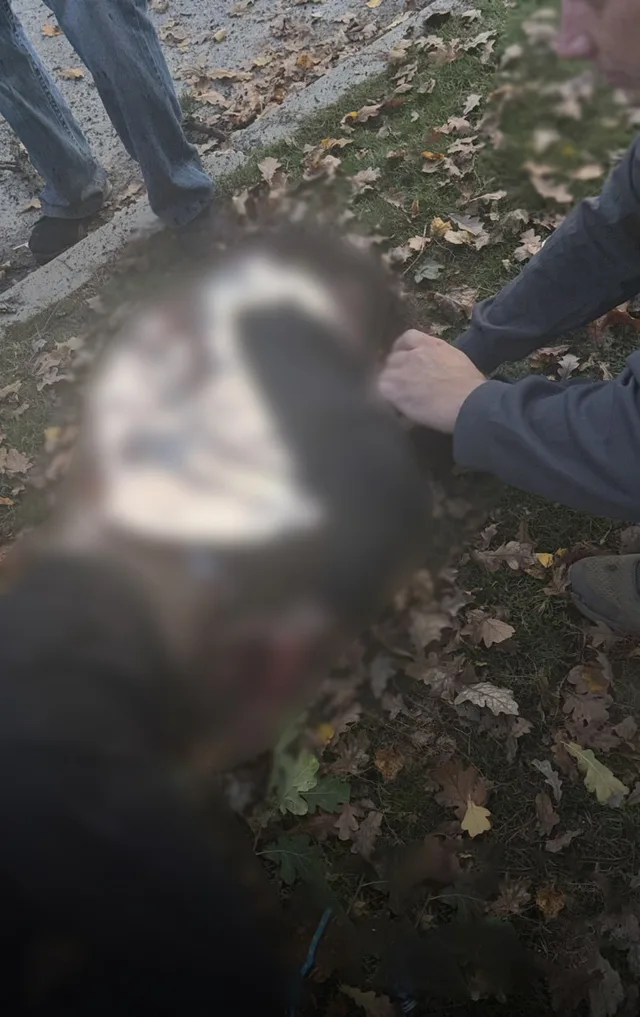 RUSYA’NIN UKRAYNA’DA BİR PARKA DÜZENLEDİĞİ İHA SALDIRISINDA 3’Ü ÇOCUK OLMAK ÜZERE 6 KİŞİ HAYATINI KAYBETTİ, 6’SI ÇOCUK 14 KİŞİ DE YARALANDI.