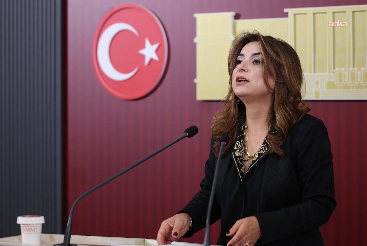 Gülistan Kılıç Koçyiğit: Dilde barış varsa bütçede de barış olmalıdır — fotoğraf 3