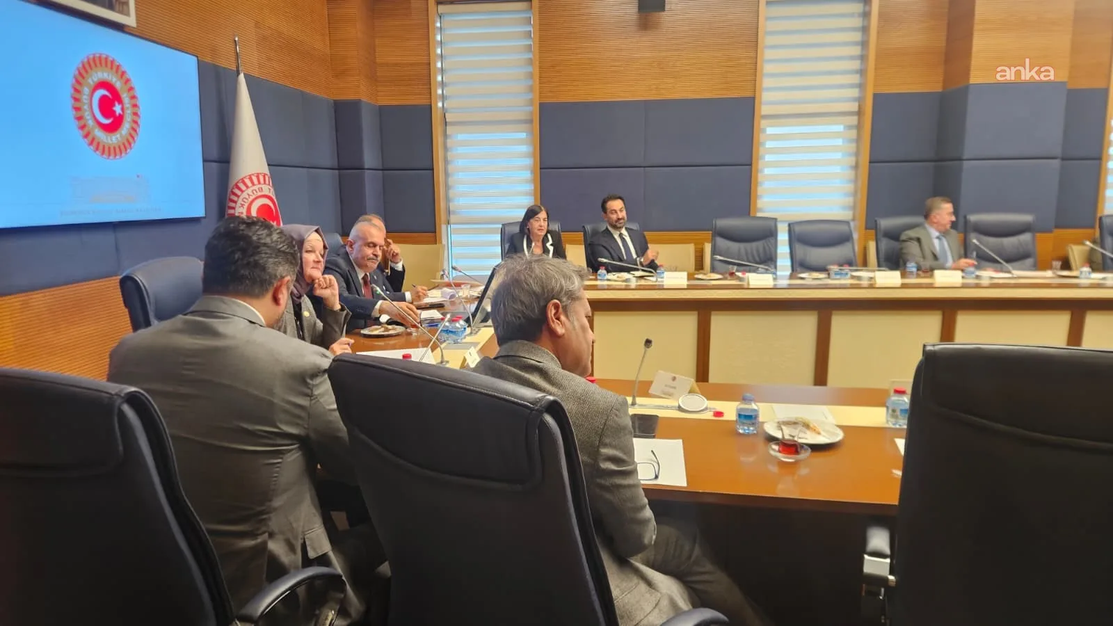 TBMM'de AİHM kararları üzerinden AB üyeliği tartışıldı