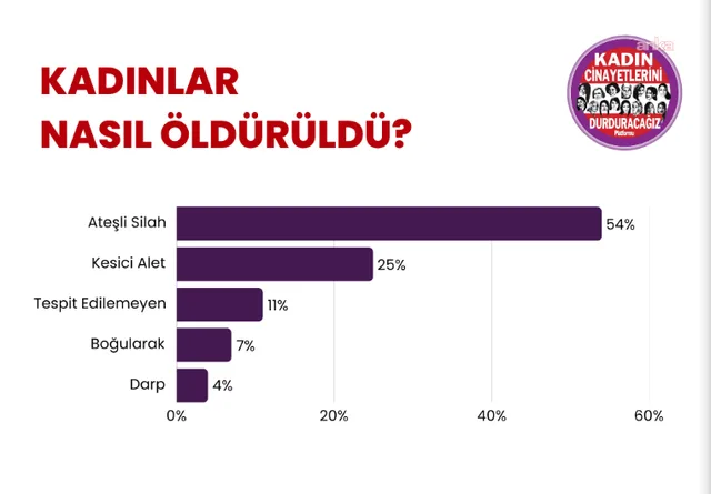 Platform: Eylülde 28 kadın cinayeti işlendi — fotoğraf 4