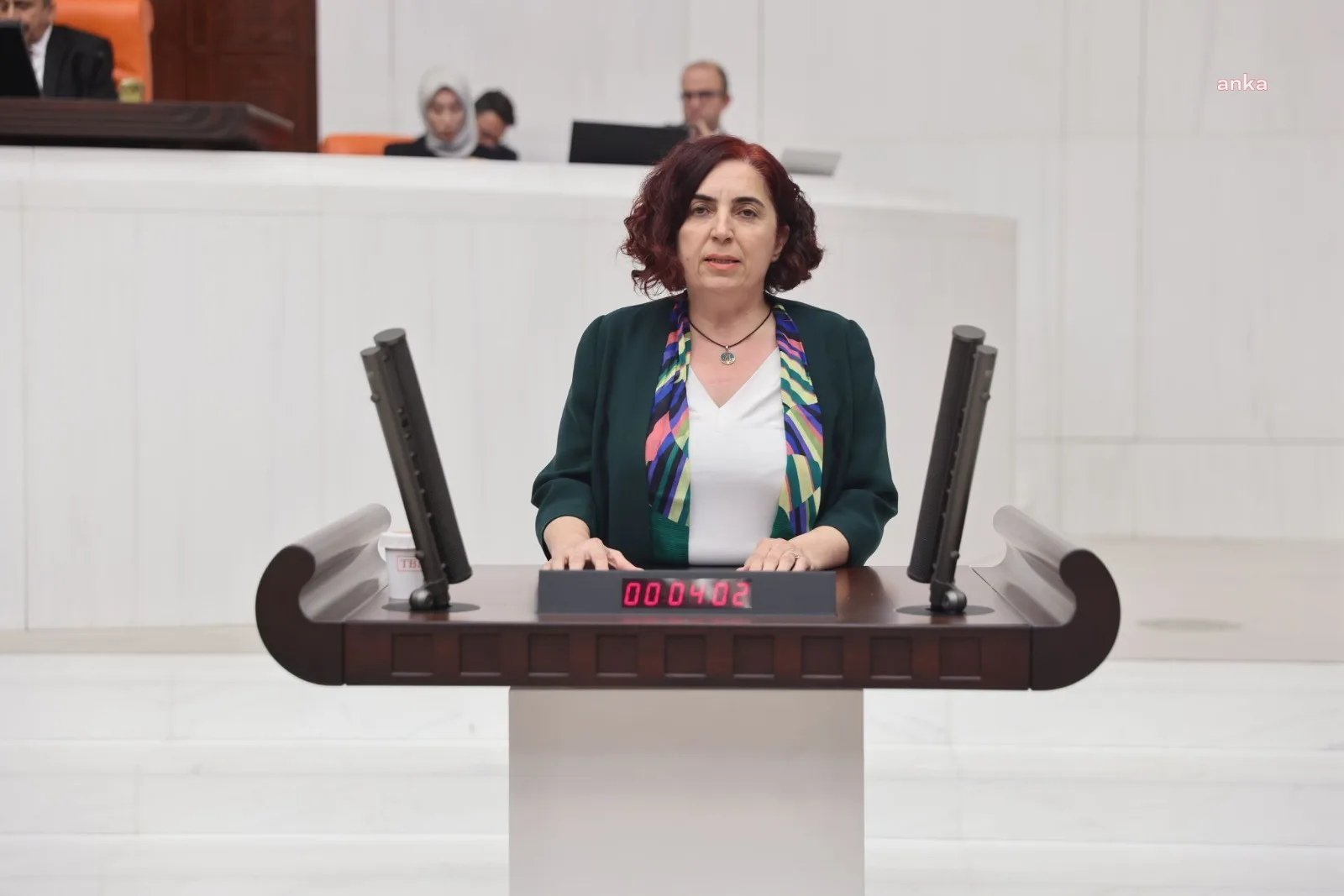 DEM Partili Çelenk, Cansu Badur'un durumunu Meclis'e taşıdı: Türkiye'ye neden getirilemiyor?