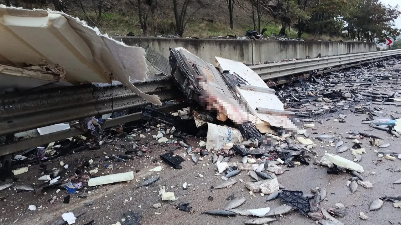 SİNOP’UN BOYABAT İLÇESİNDE BALIK TAŞIYAN KAMYONUN DEVRİLMESİ SONUCU MEYDANA GELEN KAZADA 1 KİŞİ HAYATINI KAYBETTİ. KAZADA KAMYONDAKİ BALIKLAR YOLA SAÇILDI.