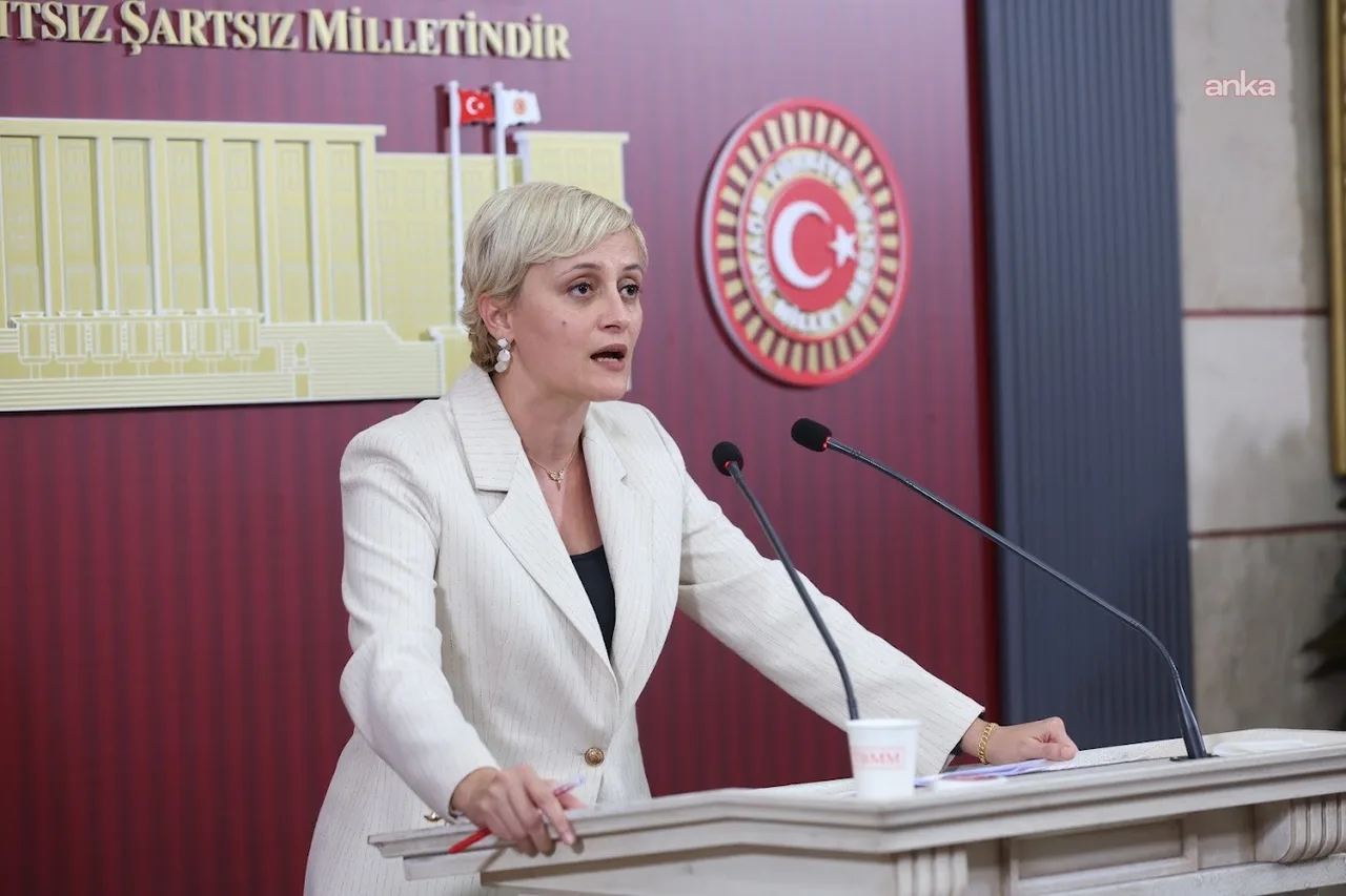 Perihan Koca, İskenderun Devlet Hastanesi için önerge verdi