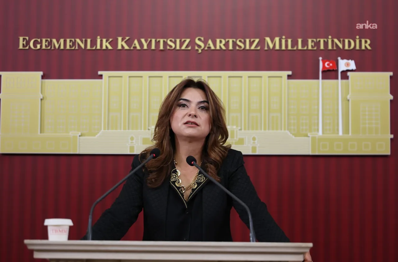 Gülistan Kılıç Koçyiğit: Dilde barış varsa bütçede de barış olmalıdır — fotoğraf 2