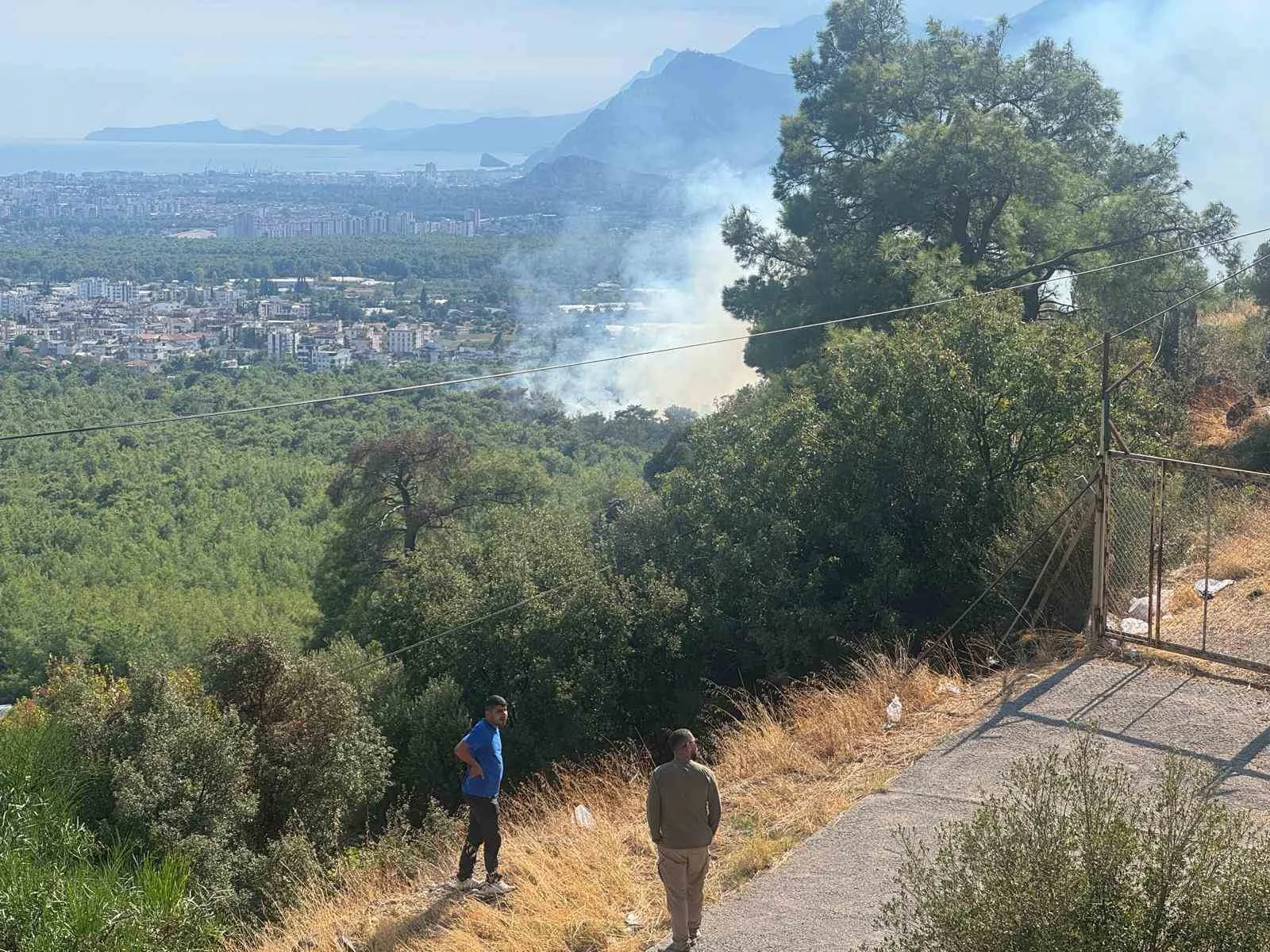 ANTALYA'DA ÇIKAN ORMAN YANGINA HAVADAN VE KARADAN MÜDAHALEDE BULUNUYOR