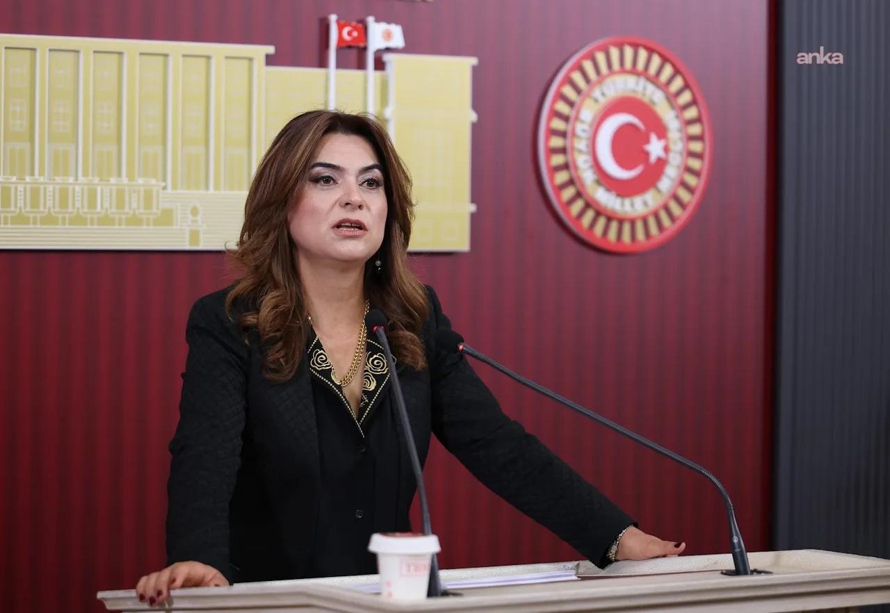 Gülistan Kılıç Koçyiğit: Dilde barış varsa bütçede de barış olmalıdır
