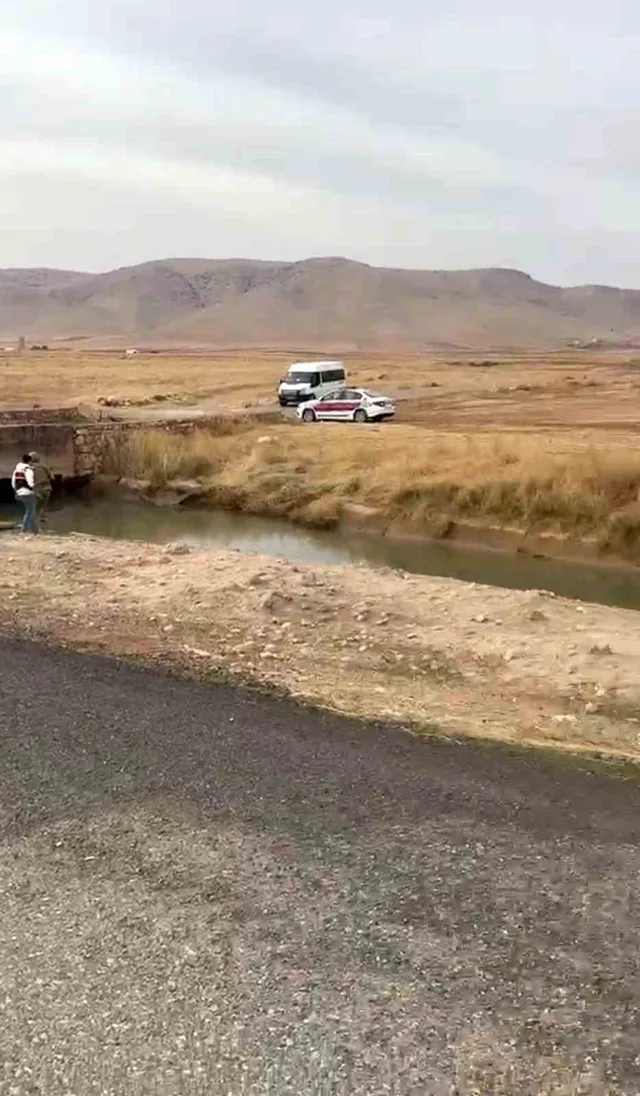 KAZA, NUSAYBİN-CİZRE YOLU TEPEALTI MAHALLESİ MEVKİSİNDE MEYDANA GELDİ.