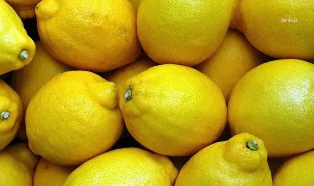 TZOB: Limonda üretici-market farkı yüzde 999,2