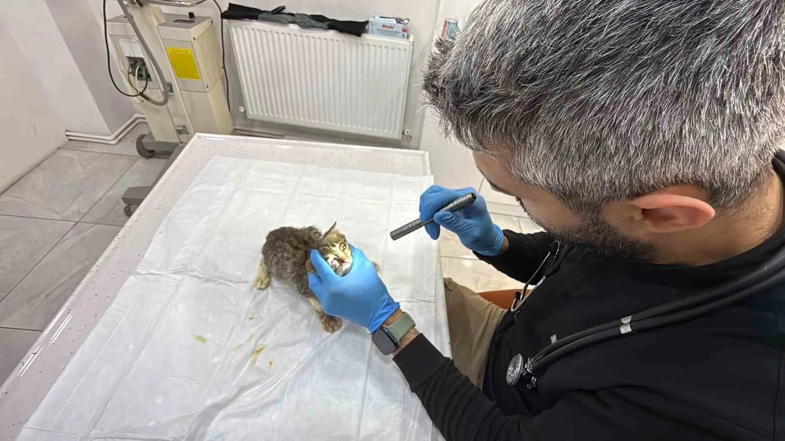 TOKAT’TA BİNLERCE KİŞİNİN MİDE BULANTISI, KUSMA VE KARIN AĞRISI ŞİKÂYETLERİYLE HASTANELERE BAŞVURMASININ ARDINDAN, KEDİ VE KÖPEKLERDE DE BENZER BELİRTİLER GÖRÜLDÜĞÜ BİLDİRİLDİ. VETERİNER HEKİMLER HAYVAN SAHİPLERİNE UYARIDA BULUNURKEN, UZMANLAR BENZER BELİRTİLERİN TEK BAŞINA NOROVİRÜS TANISI ANLAMINA GELMEDİĞİNE DİKKAT ÇEKTİ.